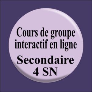 Cours de groupe interactif en ligne – Sec 4 SN