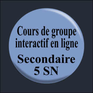 Cours de groupe interactif en ligne – Sec 5 SN